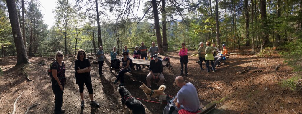 sortie au freudeneck